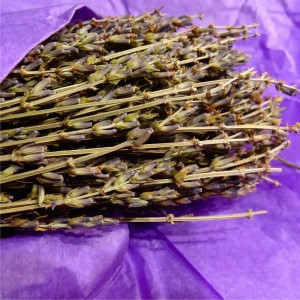 Dried-Lavender